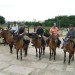 Putování s koňmi